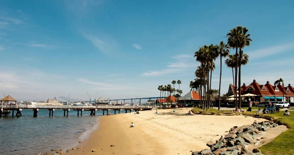 Discover the Most Stunning Beaches to Visit in San Diego
