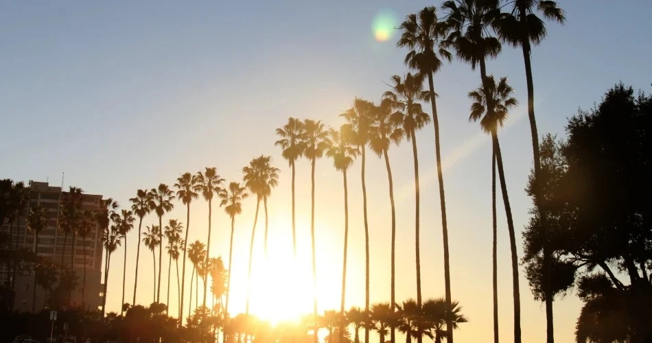 San Diego Travel Guide: Top Attractions, Local Food & Essential Tips